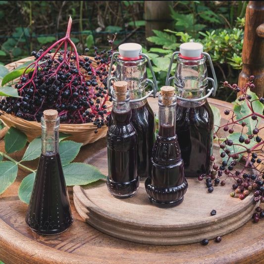 Elderberry Syrup Kits